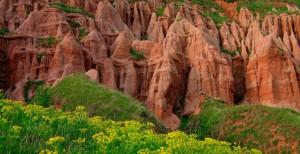 Rapa Rosie din Sebes